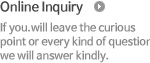 Online Inquiry