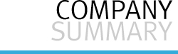 COMPANY SUMMARY