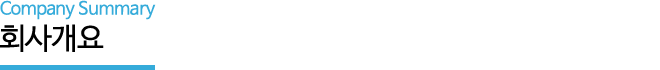 ȸ�簳�� - Company Summary